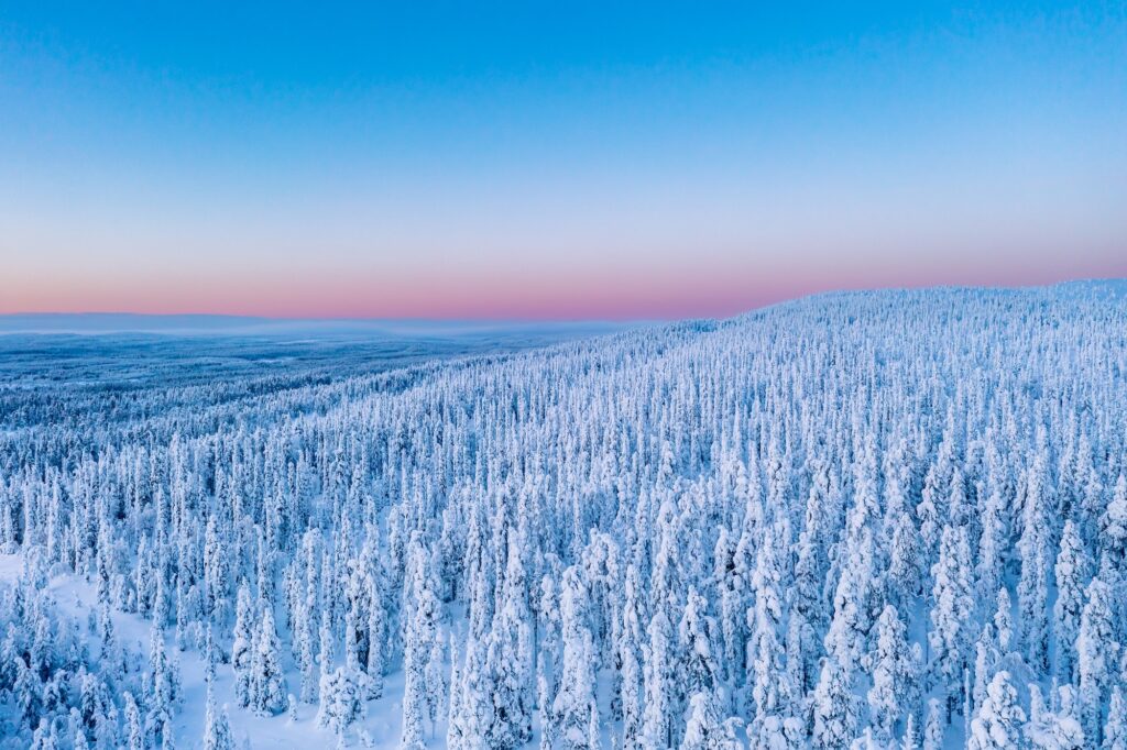 Tunturimaisema