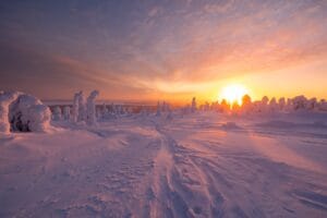 frostyeveninginlaplandinwinter