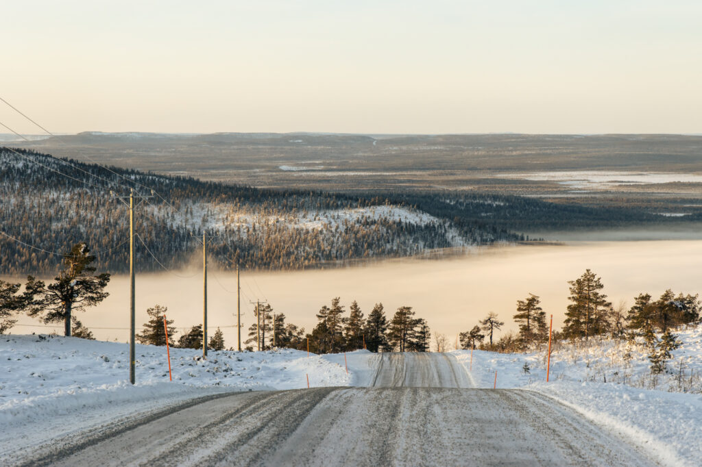 Lappi