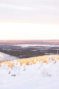 levi-fiilistelyt-leima-tammikuu-2022-161